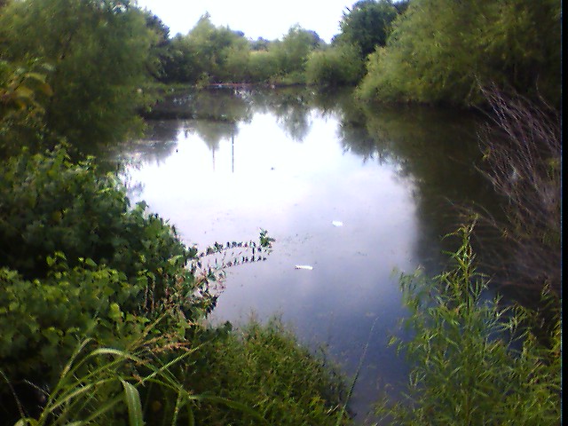 pond near park